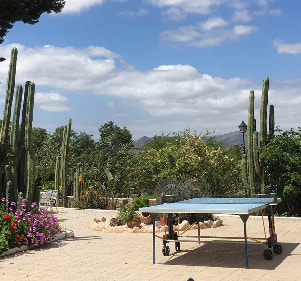 What a view!!    Don't get distracted though as you play table tennis at Casa Perez!